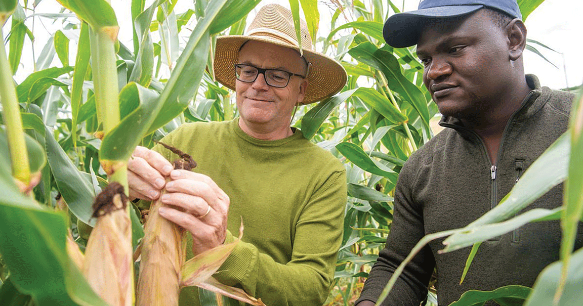 Researchers aim to speed up seed discoveries