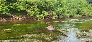 River