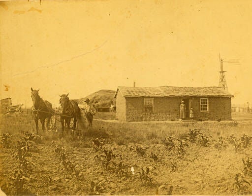 Phelps Center 3.jpg