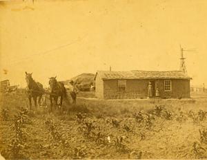 Phelps Center 3.jpg