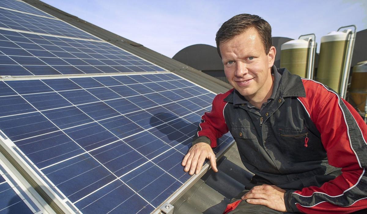 Solar panel at dairy farm in Netherlands