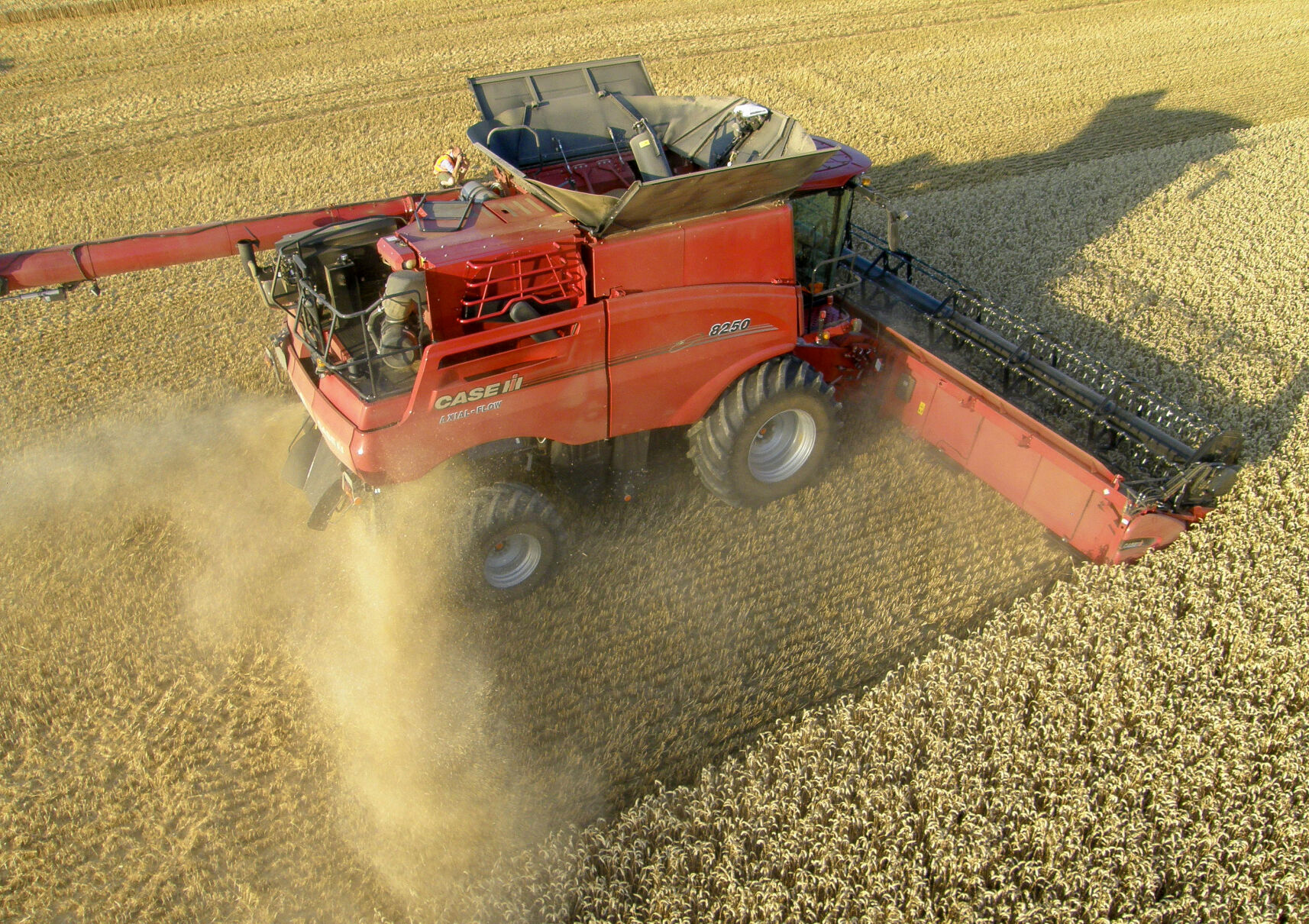 Combine in field