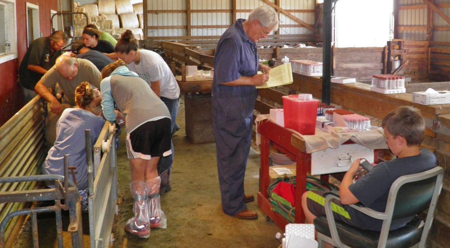 Dave Thomas examines records