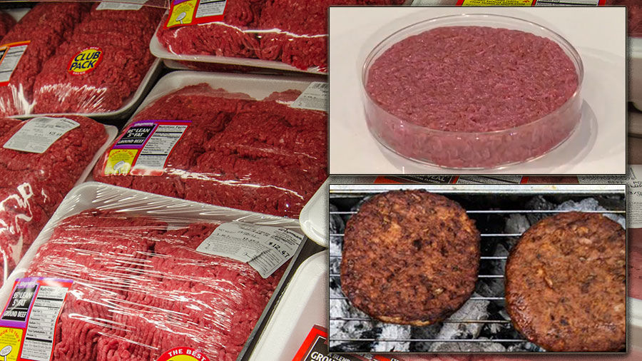 Meat with lab grown and vegan burger