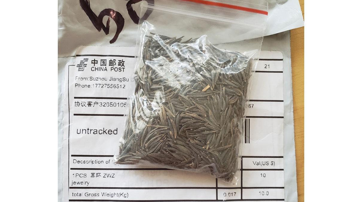 unsolicited, unlabeled seed package from an unknown origin