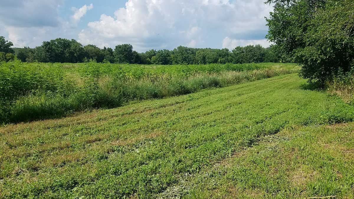 CRP acres