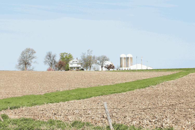 farm scene
