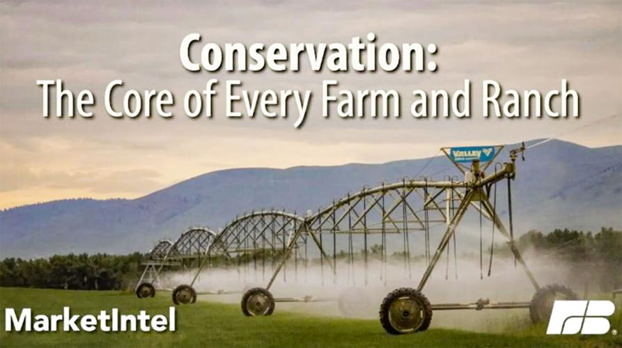Conservation
