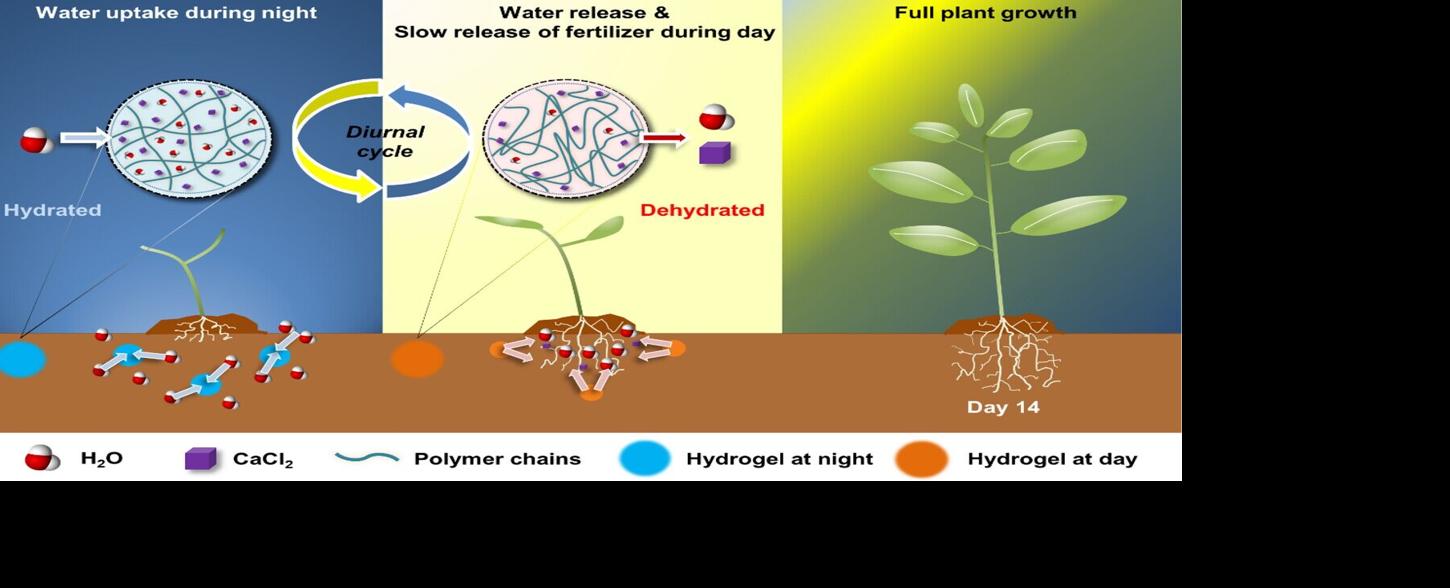 Soil graphic