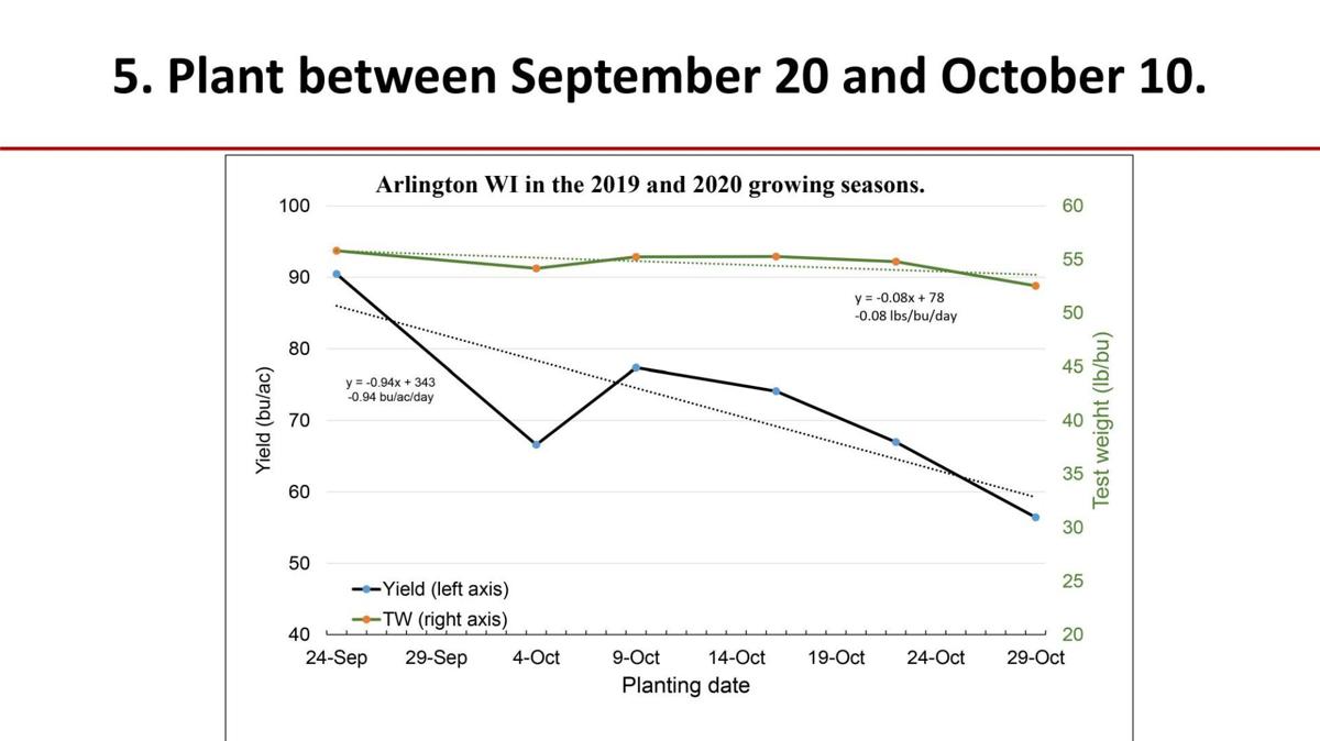 Plant between Sept. 20 and Oct. 10