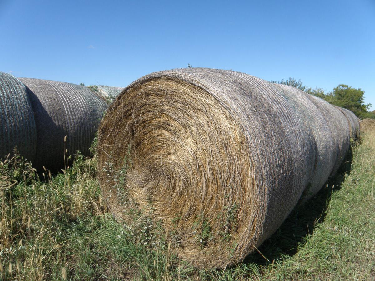 Proper hay storage important for winter