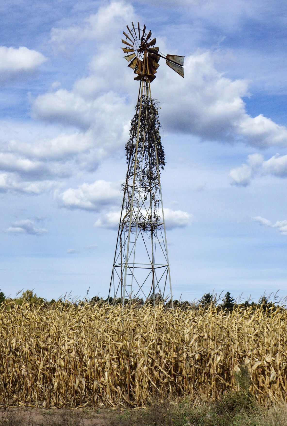 Windmill