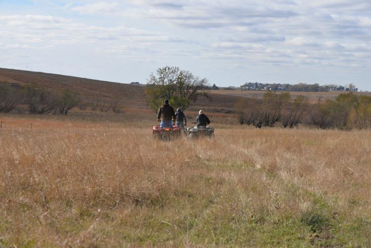 Miller Angus (5).JPG