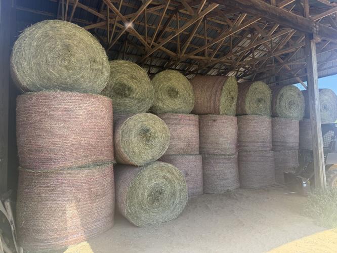 Round hay bales