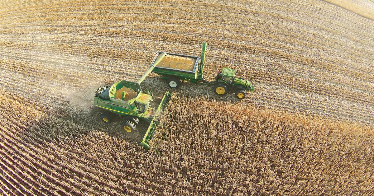 Groton farmer leading charge against corn shatter loss