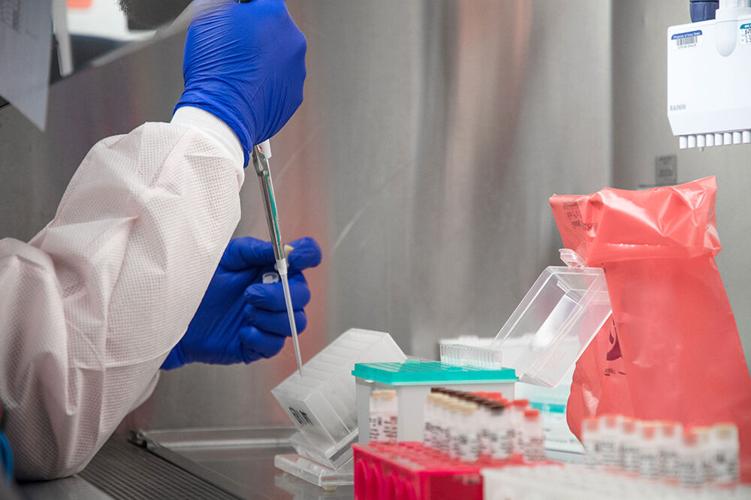 Bird flu mystery 1.jpg