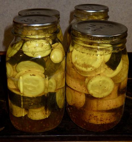 Canned squash