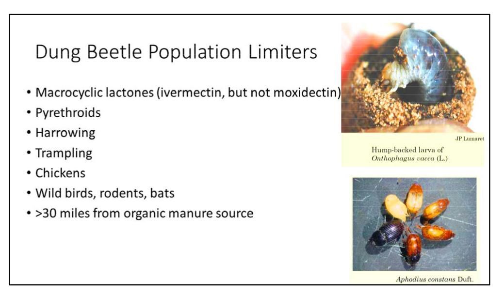Dung Beetle Population Limiters