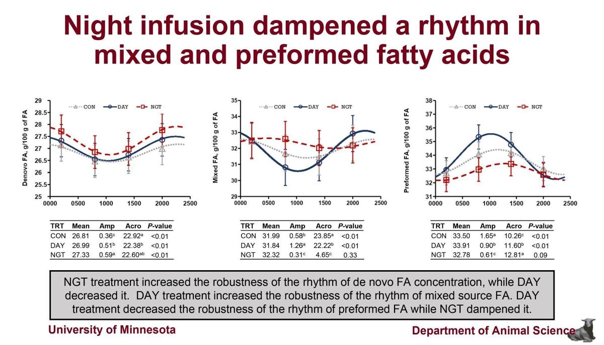 Night infusion dampened rhythm in mixed, preformed fatty acids