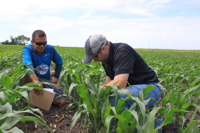 Red River Valley seed company expands over three states