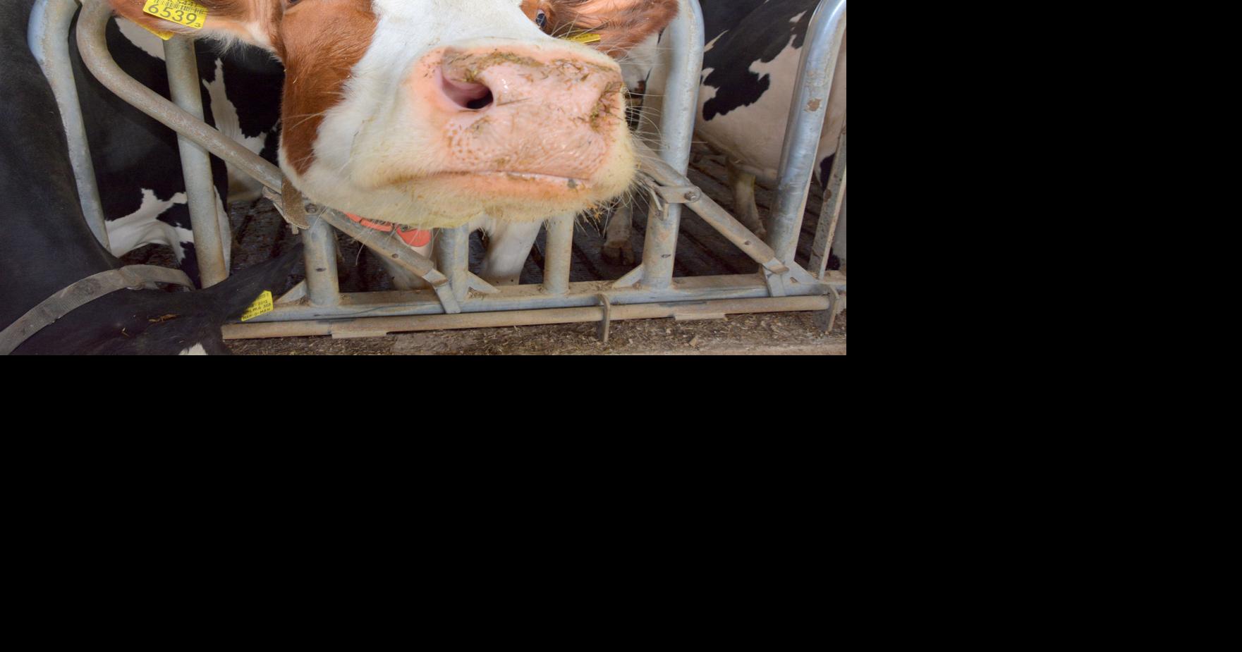 2022 Wisconsin June Dairy Breakfasts