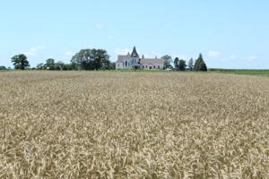 Destination: Country church