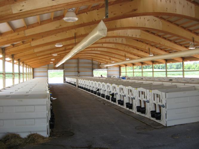 Modular calf-pen system