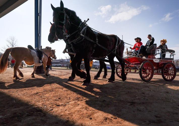 Midwest Horse Fair 01-20250411-54286.jpg