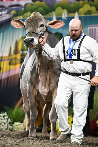 World Dairy Expo 2025