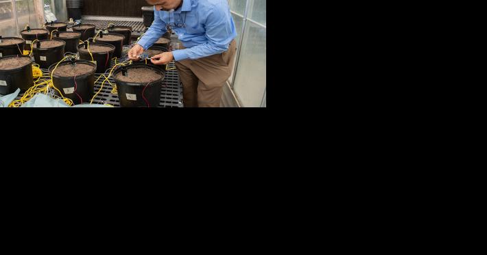 Researchers advance computer circuitry to measure soil properties - Vimarsana News