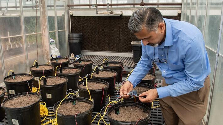 Soil moisture sensors