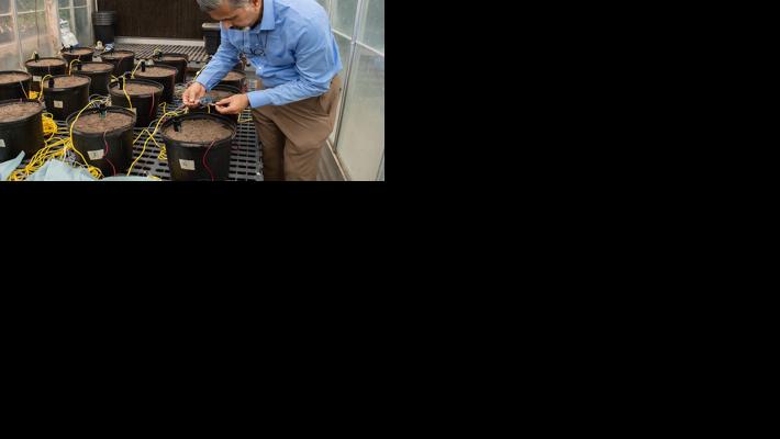 Soil moisture sensors