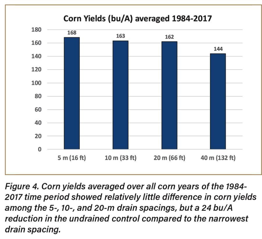 Corn yields