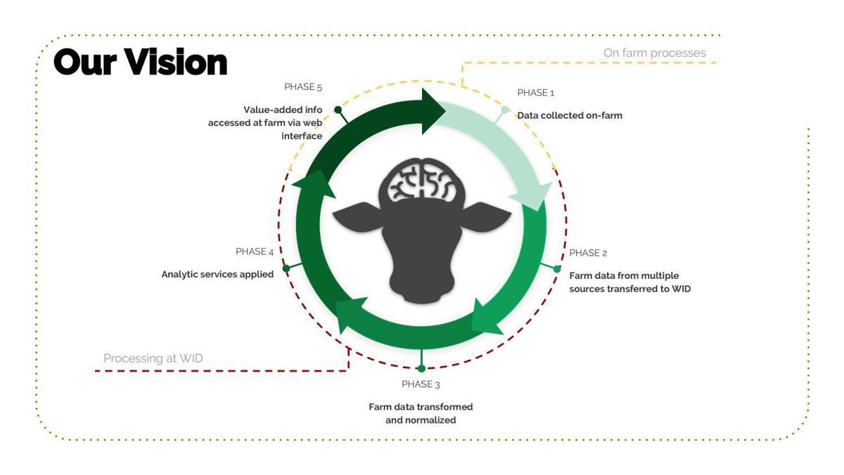Vision for virtual dairy farm brain