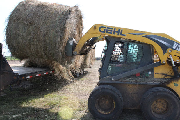 Moving bales