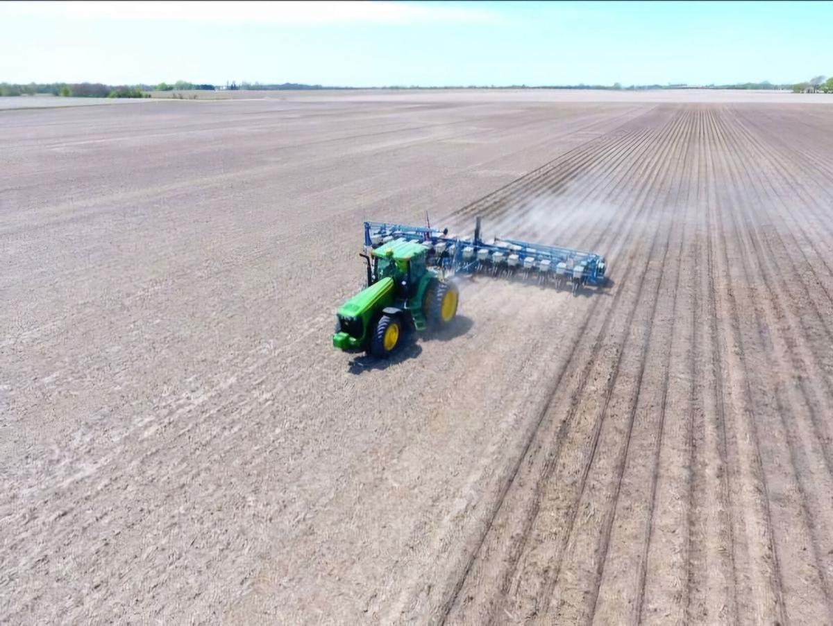 Frankie Kestel-Forsythe spring planting