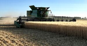 Durum market remains at a standstill