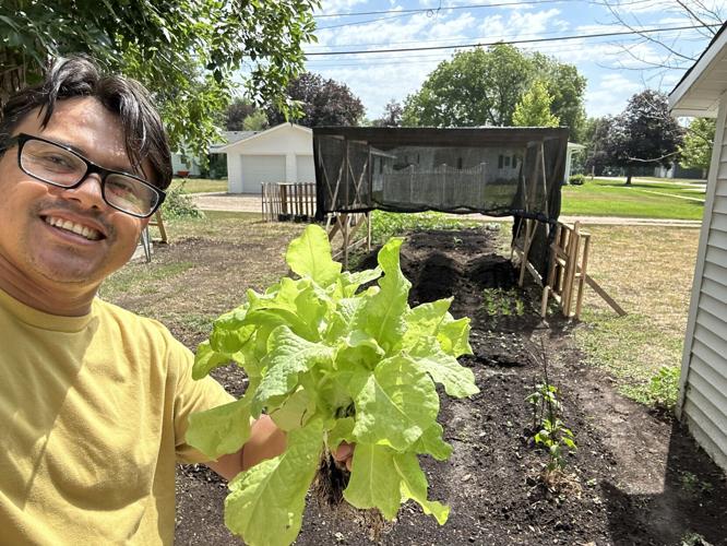 Brazil native 1.JPEG