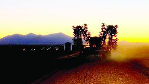 Fall moisture delays fall fieldwork for Decker