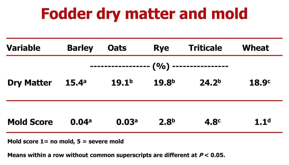 Fodder dry matter and mold