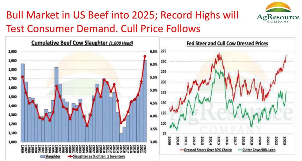 Bull market in U.S. beef