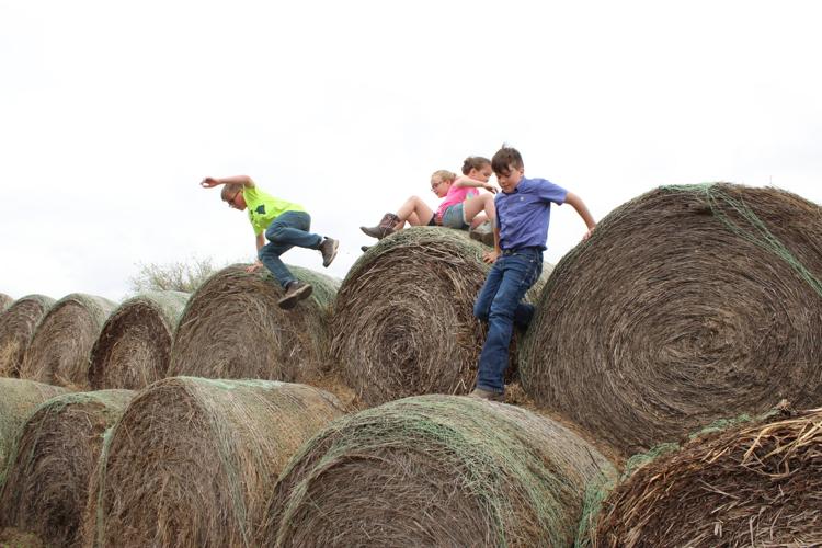 4H Smith family (97).JPG