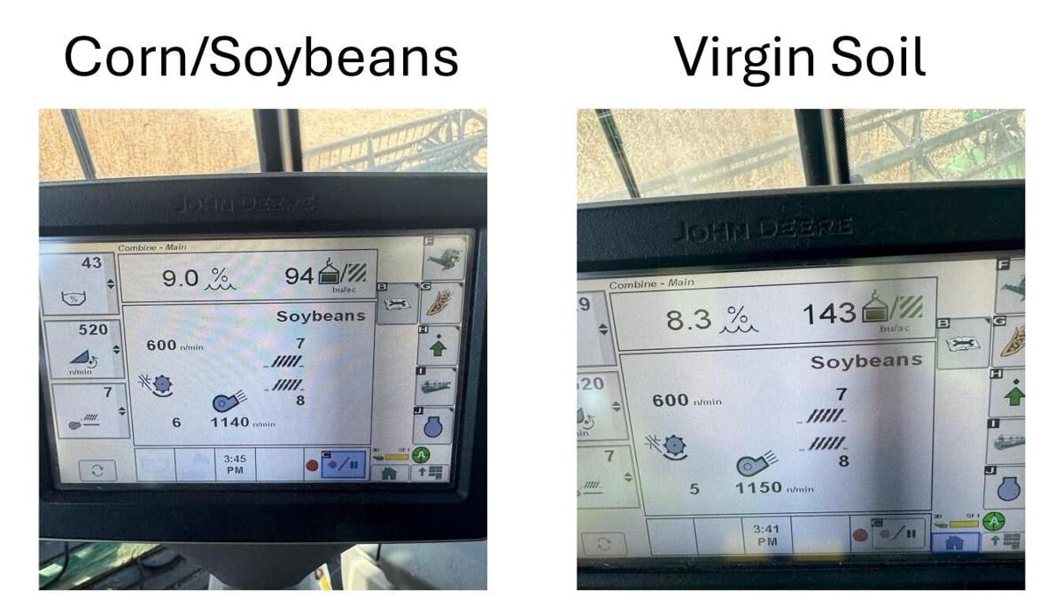 Virgin soil