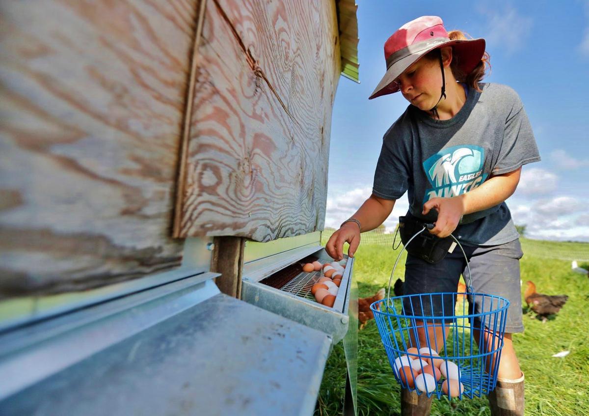 Small family farm achieves full circle | Farm Life ...