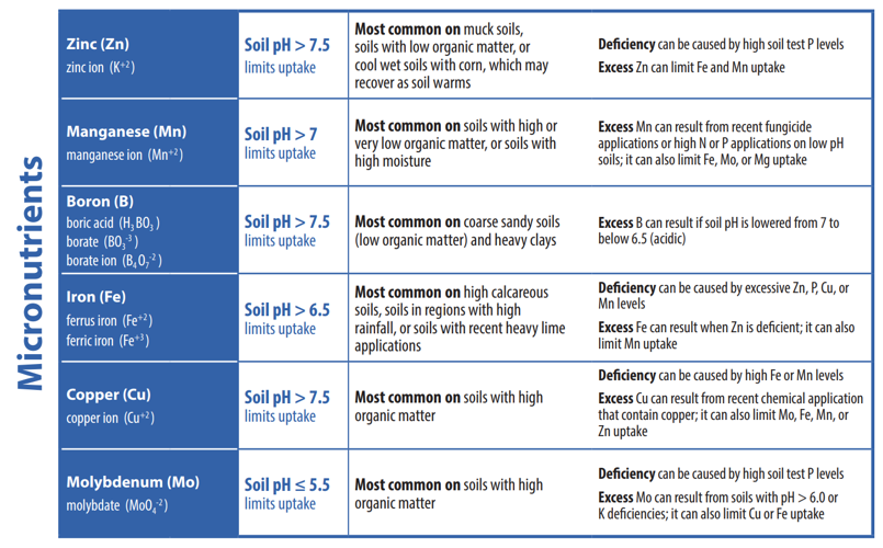 UNDERSTANDING FACTORS AFFECTING NUTRIENT AVAILABILITY CHART 3/3