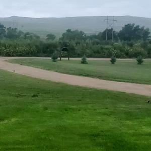 Late summer rains give spring-like hue to southwest Nebraska