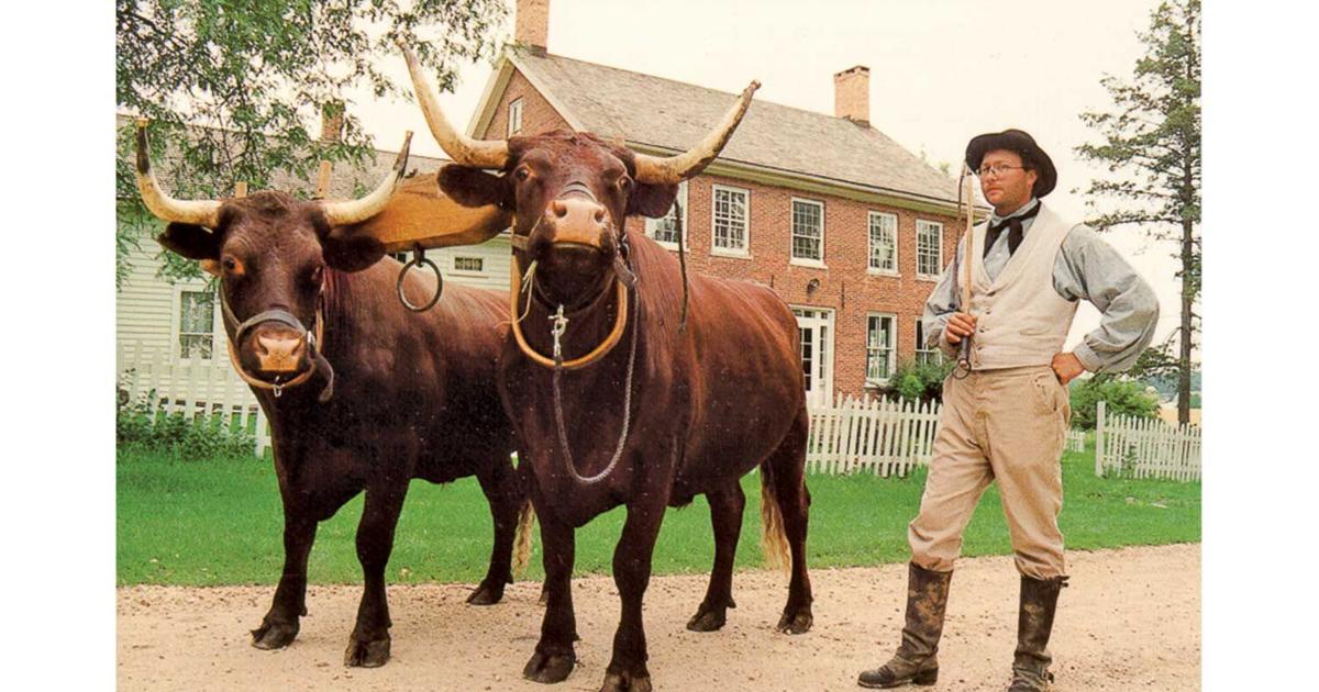 1840 Ranches Farm museum ‘snapshot’ of 1840s life
