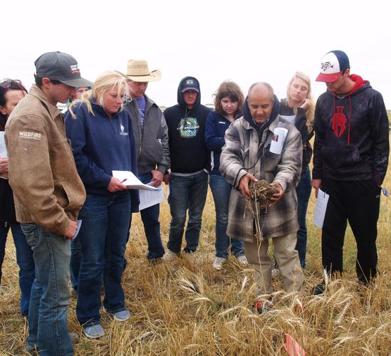 Looking at soil
