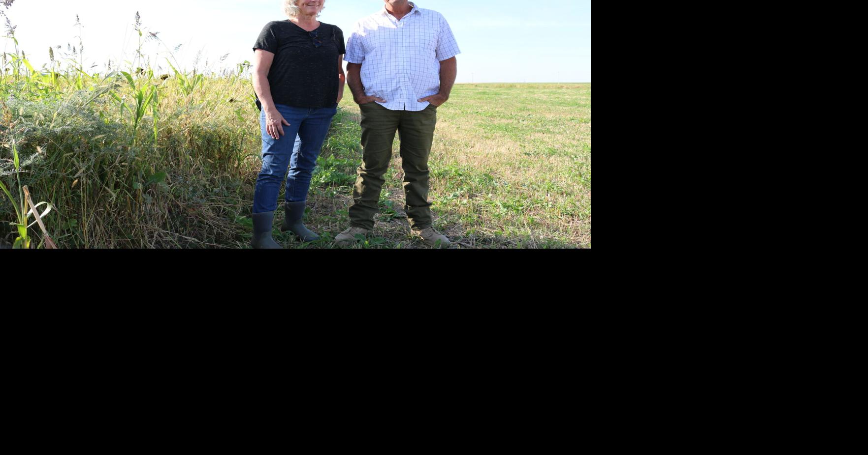 Experimenting with camelina