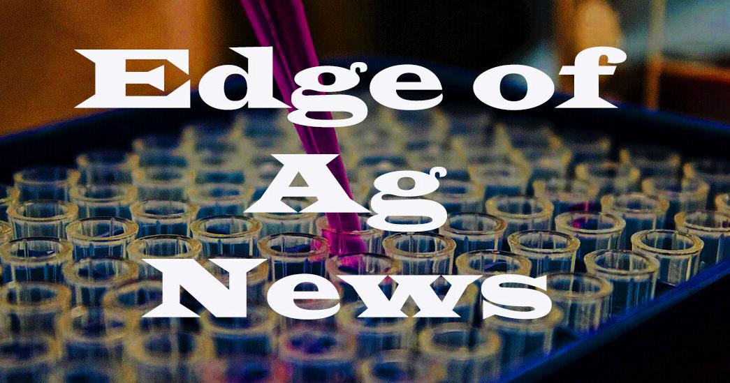 Edge of Ag News - Vimarsana News